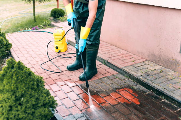 Best House Exterior Washing  in St Joseph, IL