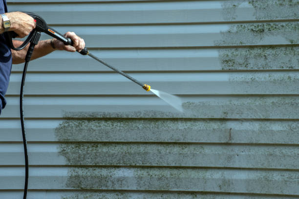 Best Roof Washing  in St Joseph, IL